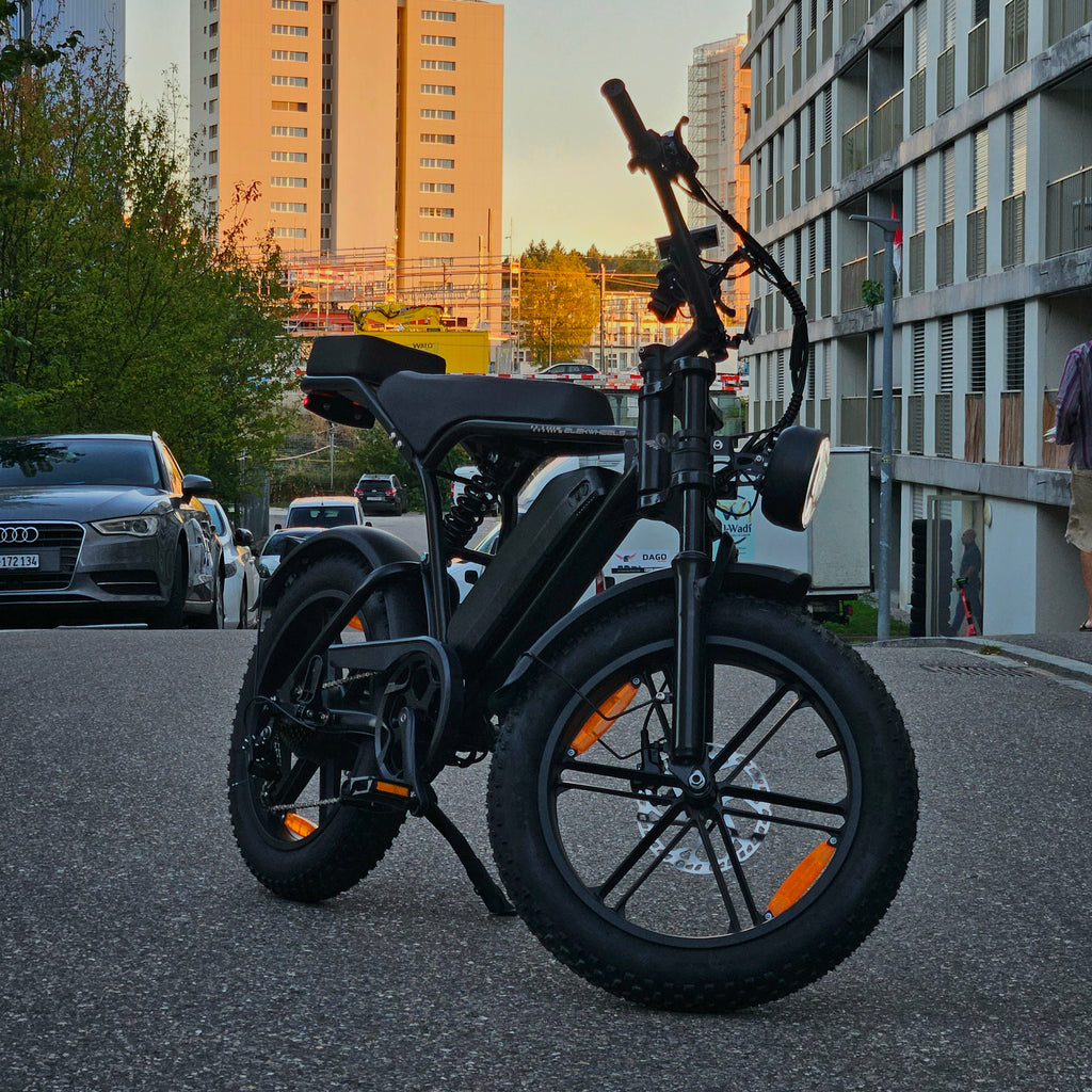 eBike e6