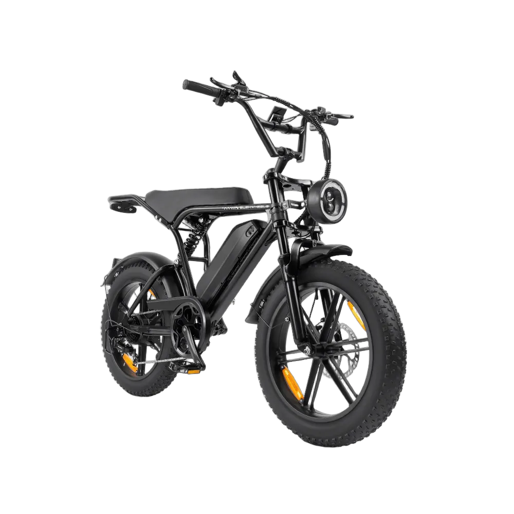eBike e6