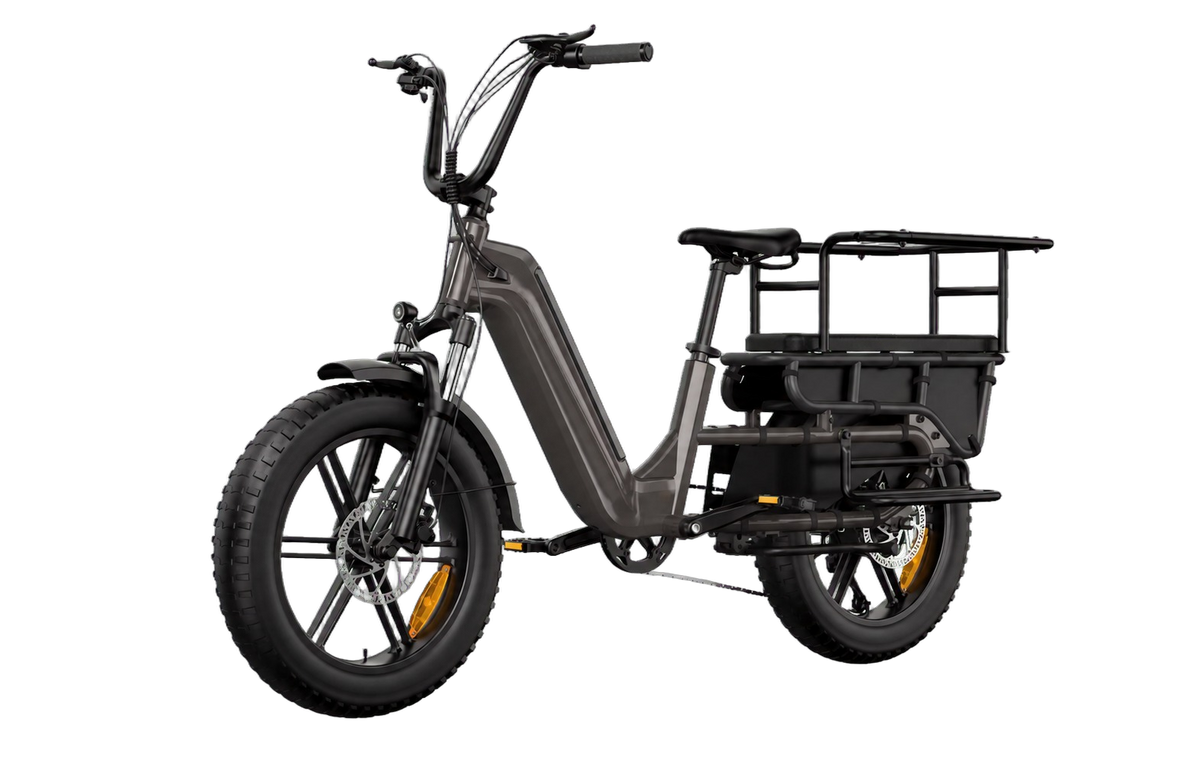 eBike Hovsco Family