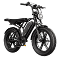 eBike R002 Plus