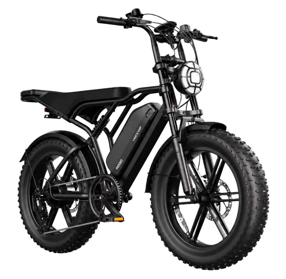 eBike R002 Plus