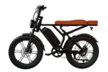 eBike R002 Plus Beige